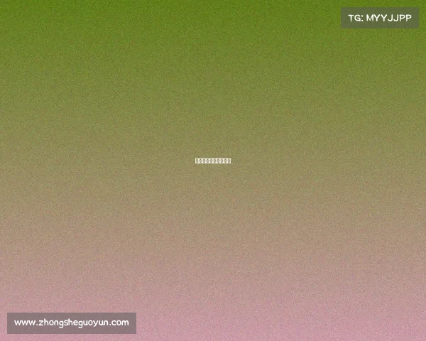 日本篮球联赛比分赛程